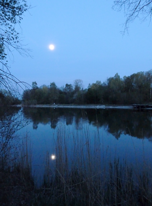 Mondschein Foto & Bild landschaft, bach, fluss & see, see, teich