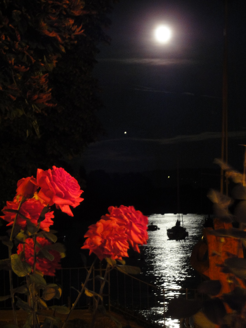Mondschein am Bodensee :)
