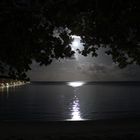 Mondschein auf der Insel