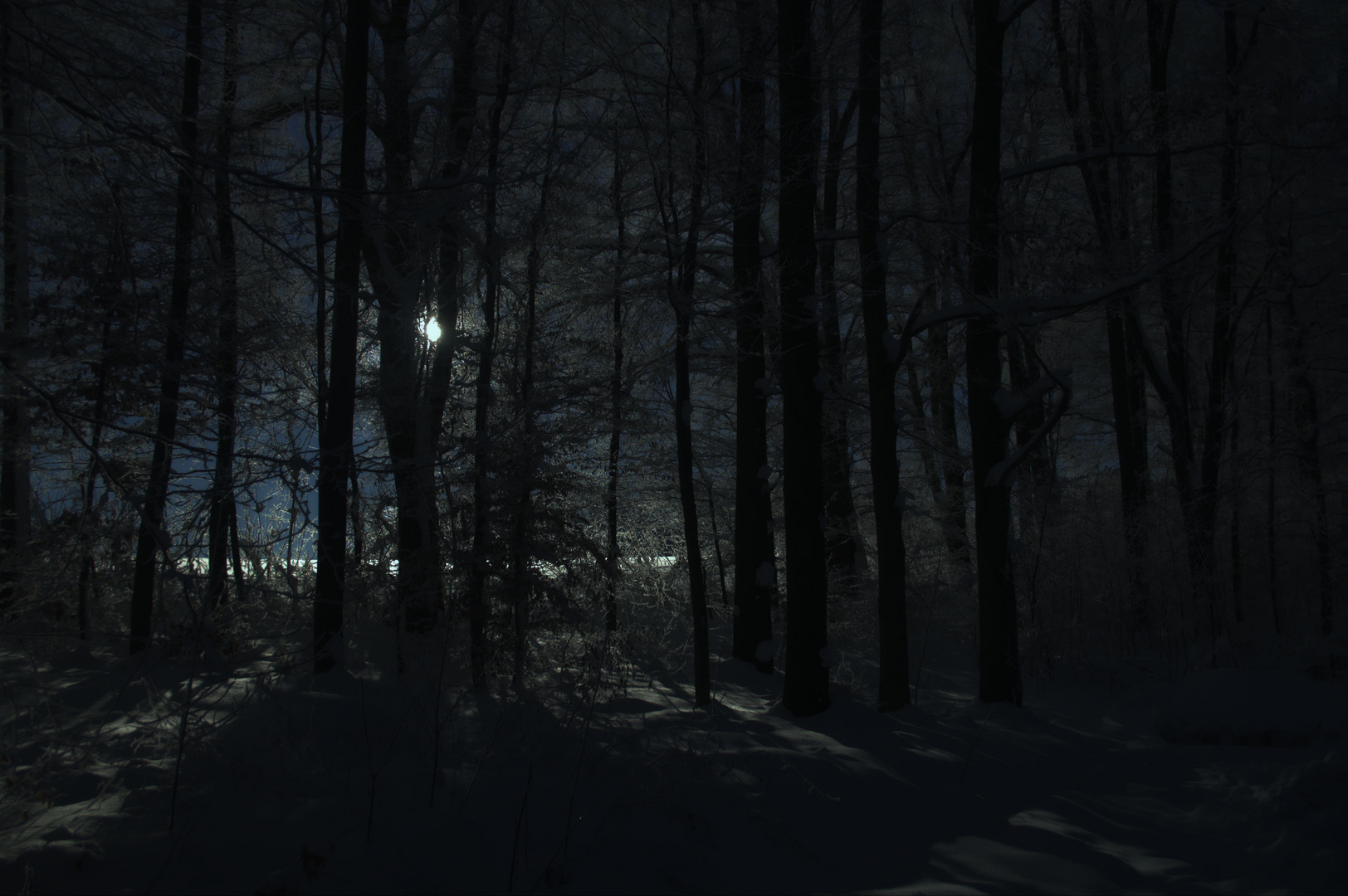 Mondschein im verschneiten Wald