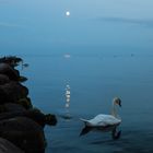 Mondschein über der Ostsee