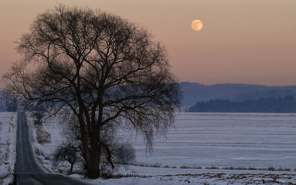 Mond(schein)landschaft