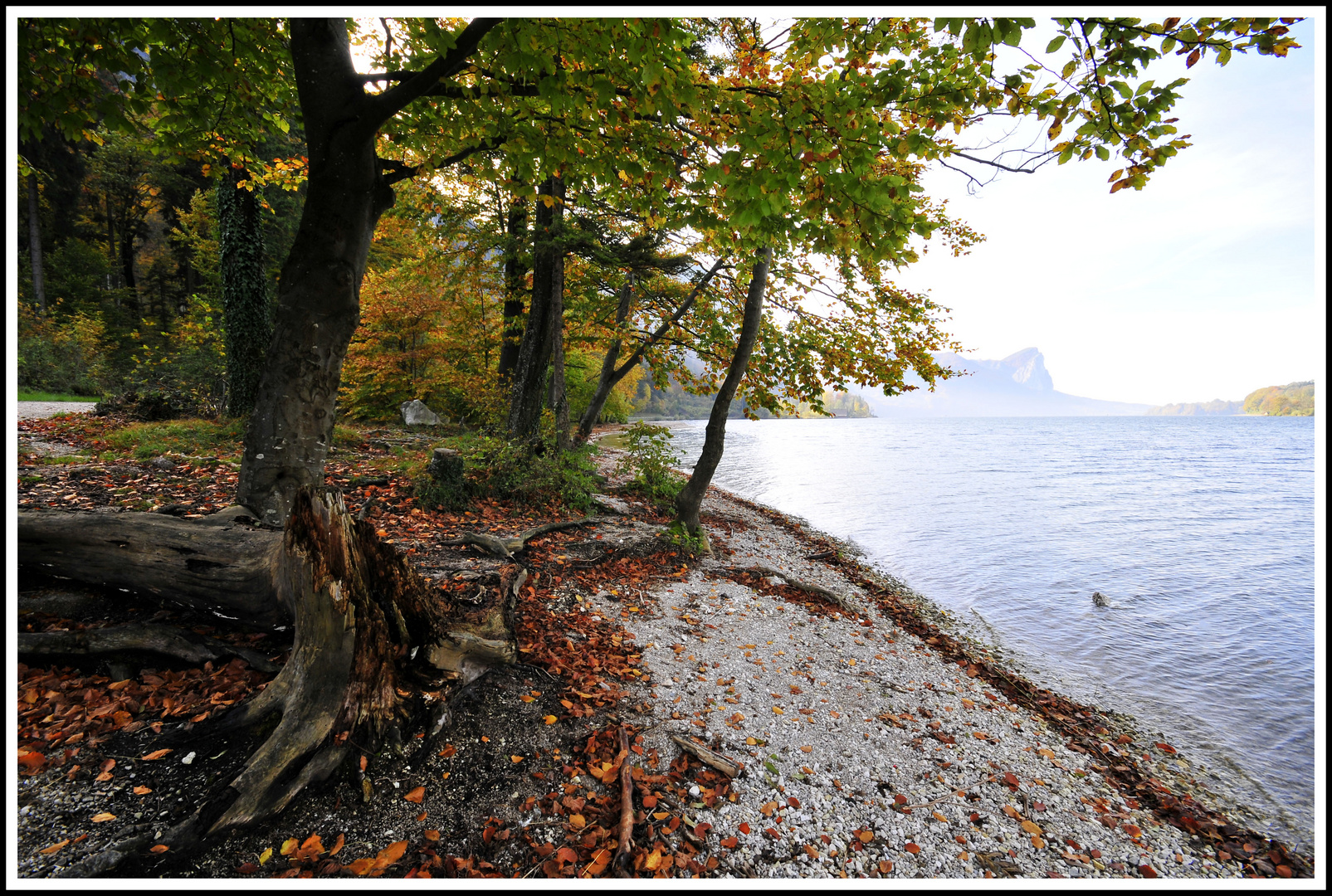 MONDSEE