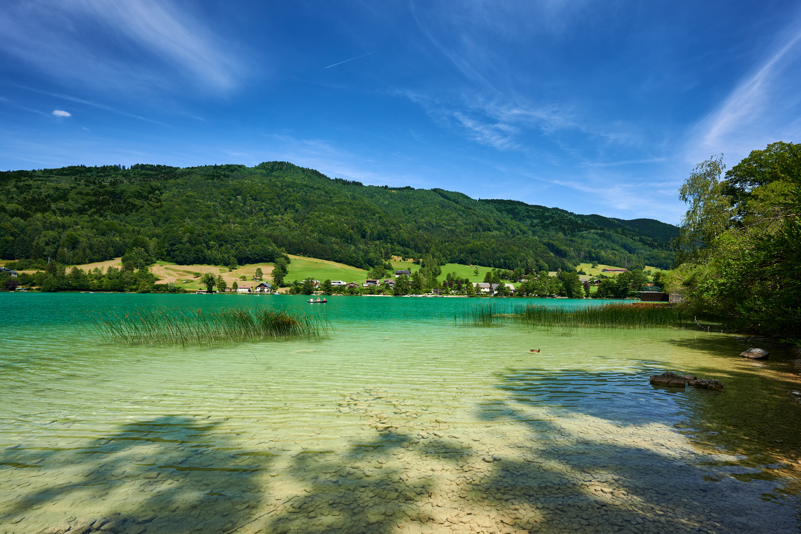 Mondsee