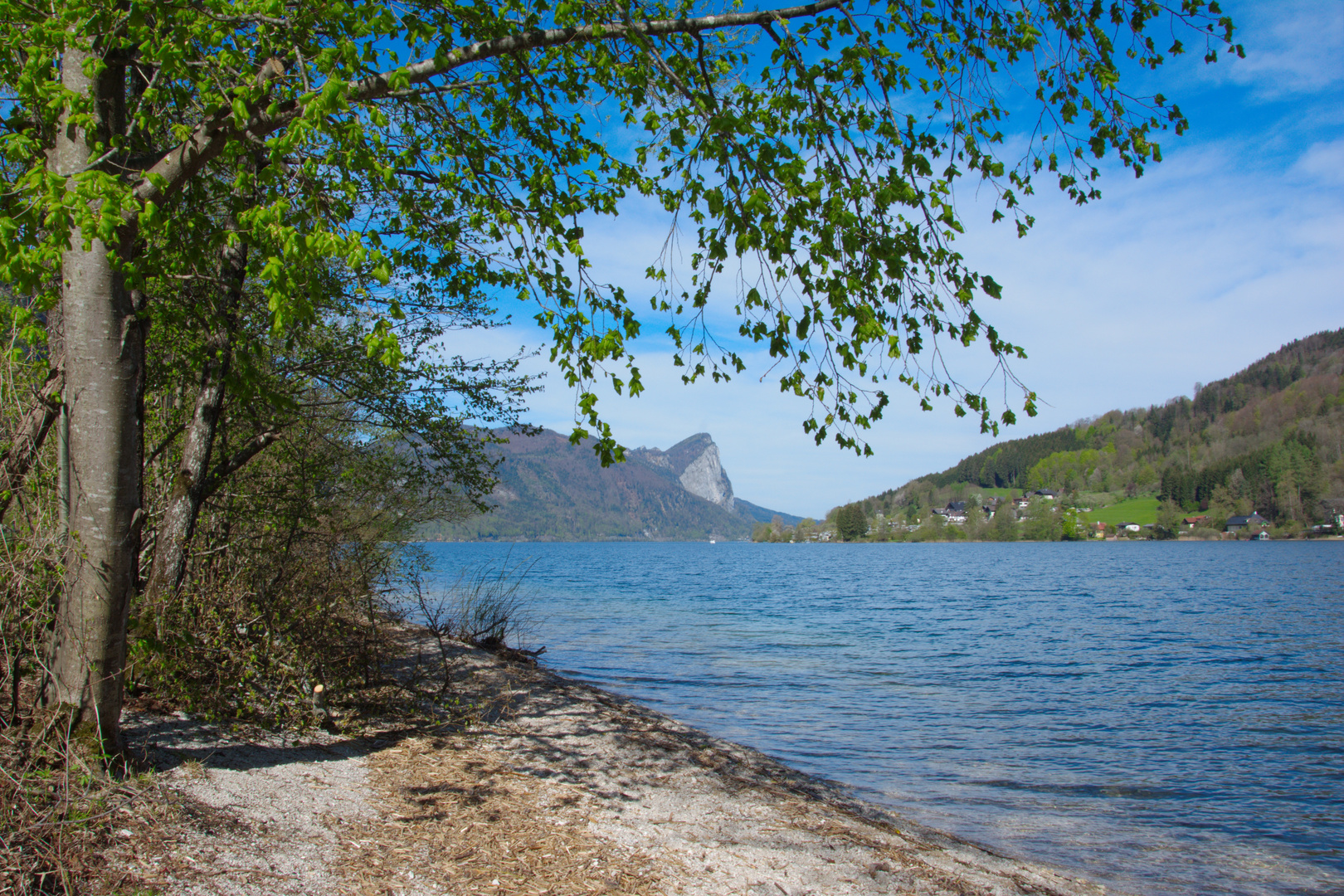 Mondsee mit Blick auf die Drachenwand...