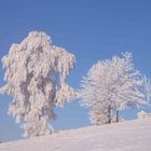 Mondsee2007