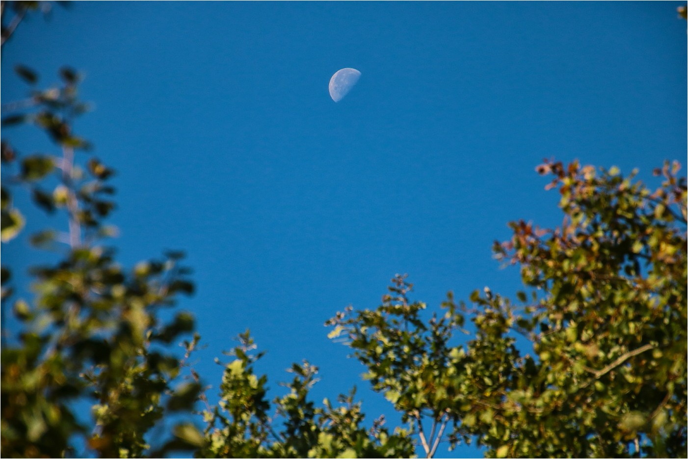 MondTag Foto & Bild art, world, spezial Bilder auf