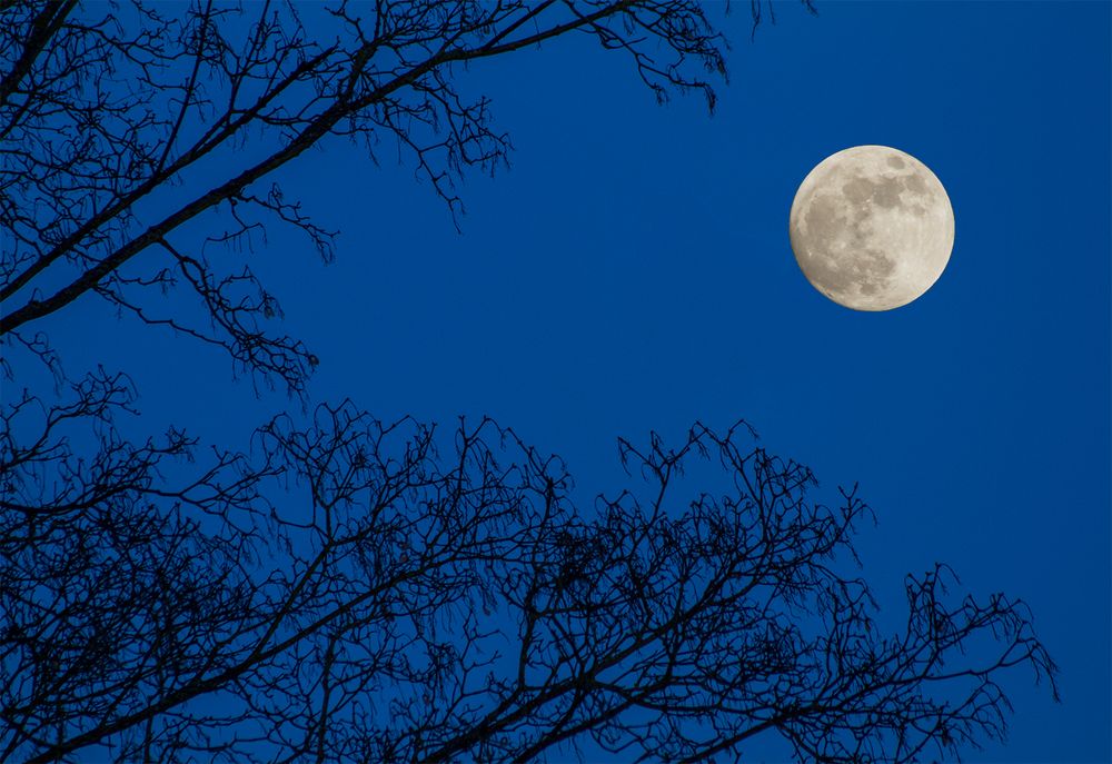 Monduntergang am 01.02.2018 um 7:52