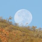 Monduntergang am Glen Helen Gorge - Australien