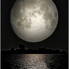 Monduntergang im Bodden