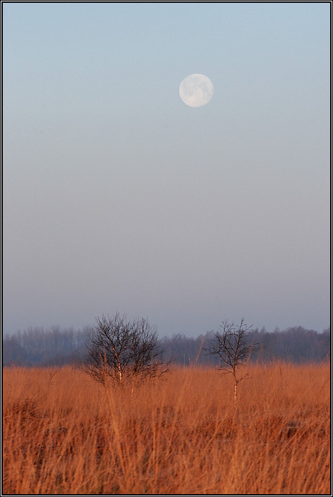 Monduntergang im Morgenlicht