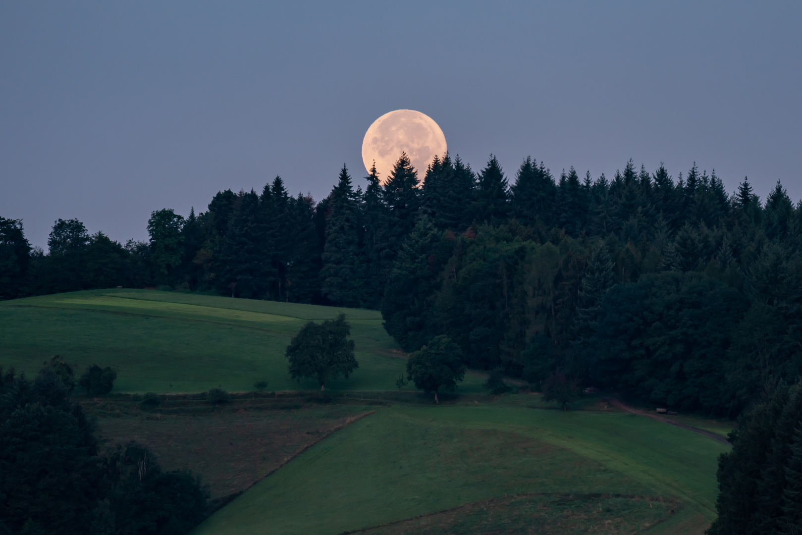 Monduntergang im Schwarzwald