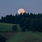 Monduntergang im Schwarzwald