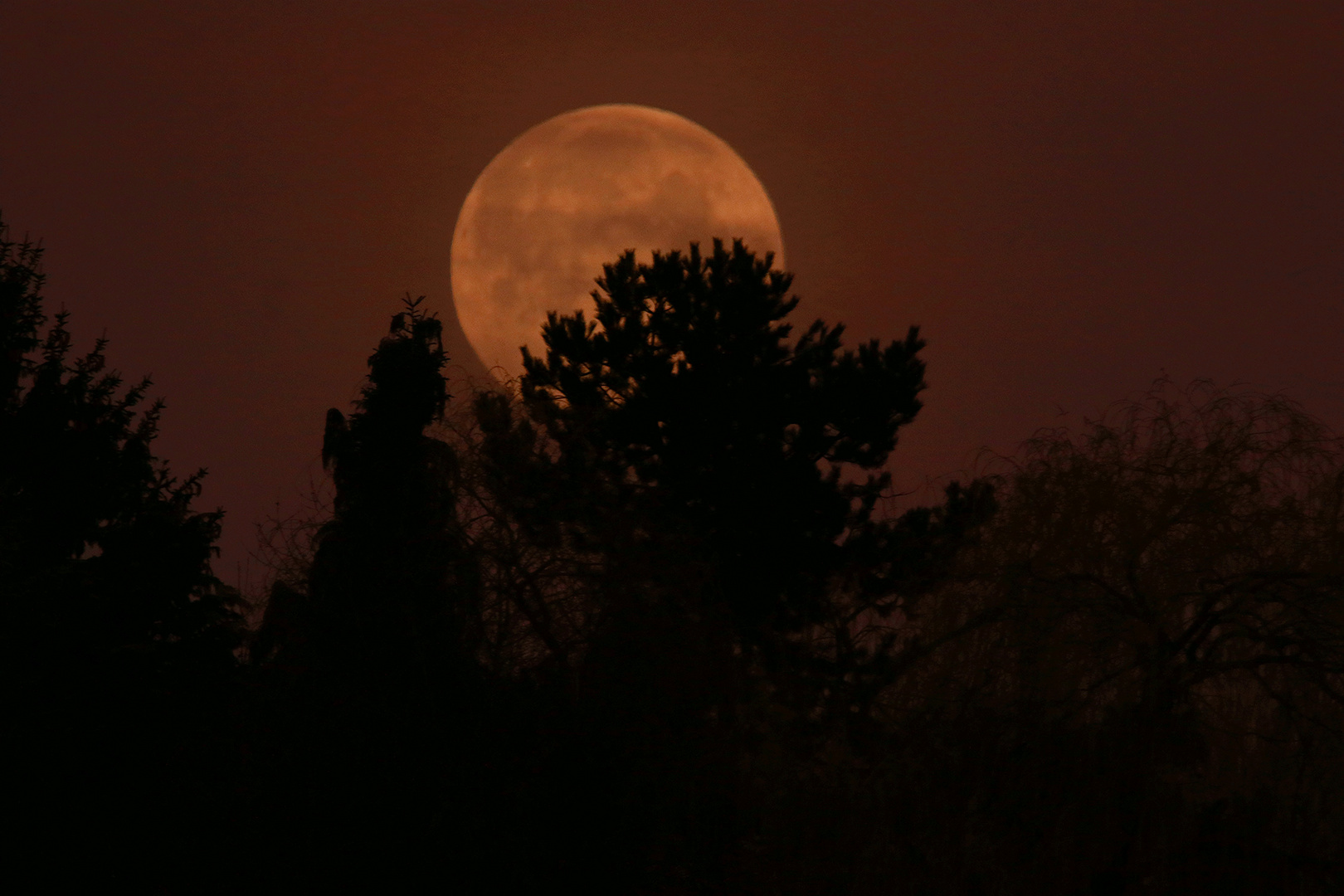 Monduntergang im Untertaunus