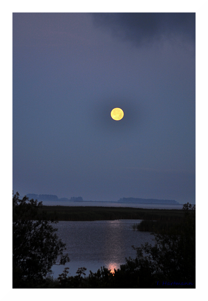 Monduntergang über'm Bodden