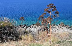 monemvasia019_