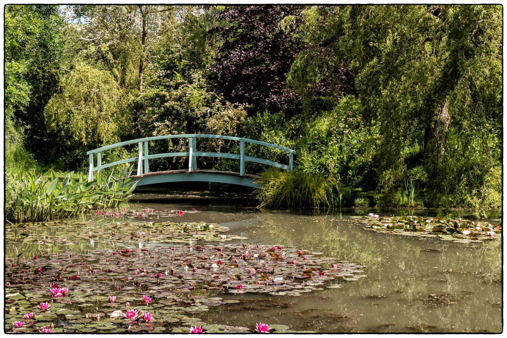 Monet Bridge