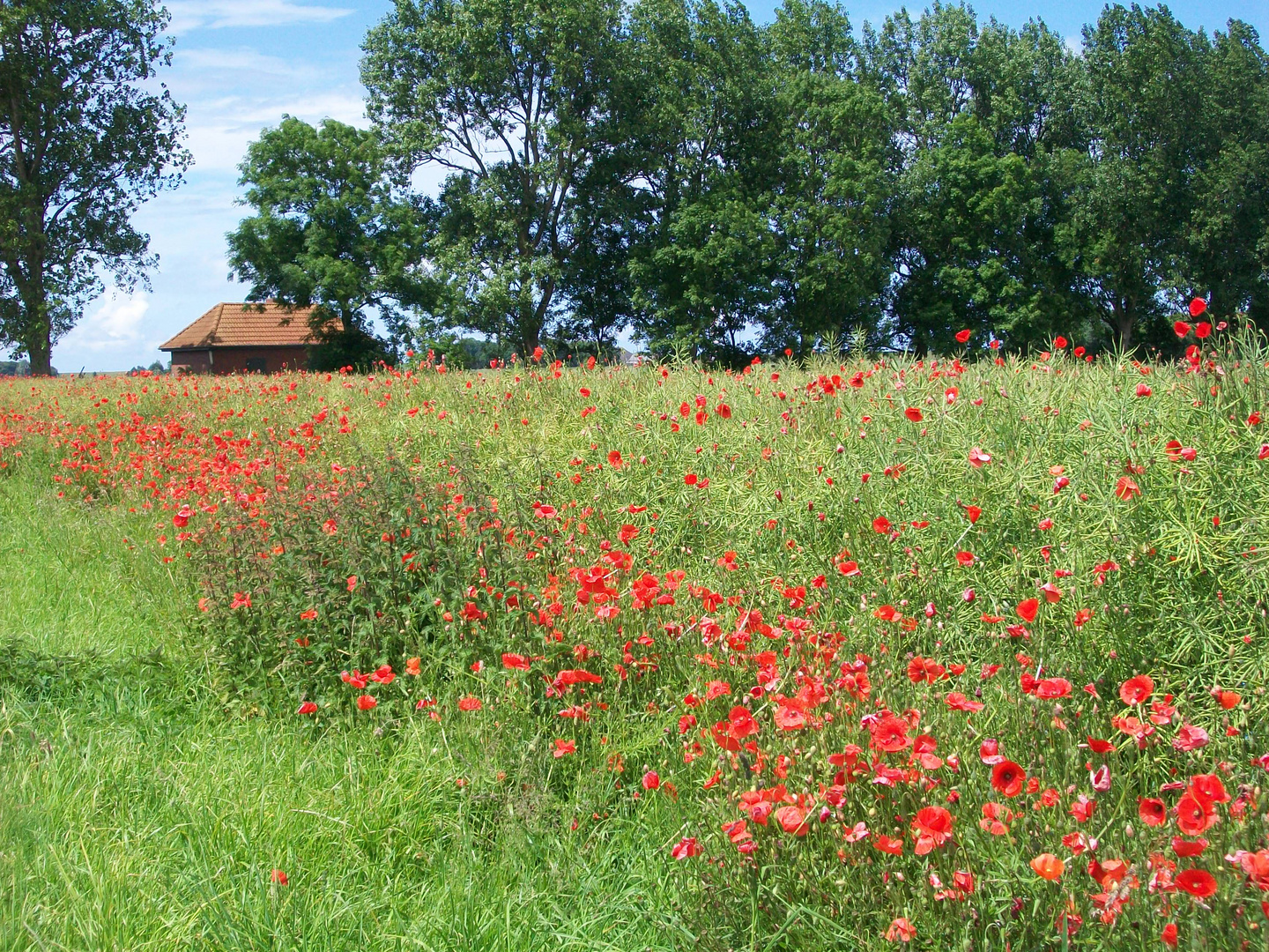 Monet im Jetzt