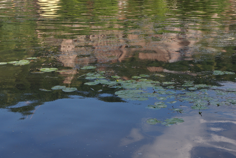 Monet in Heidelberg