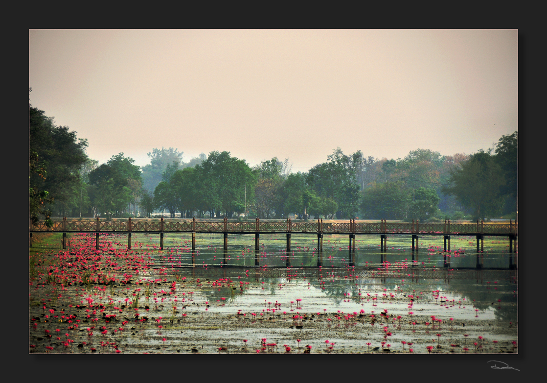 Monet in Thailand