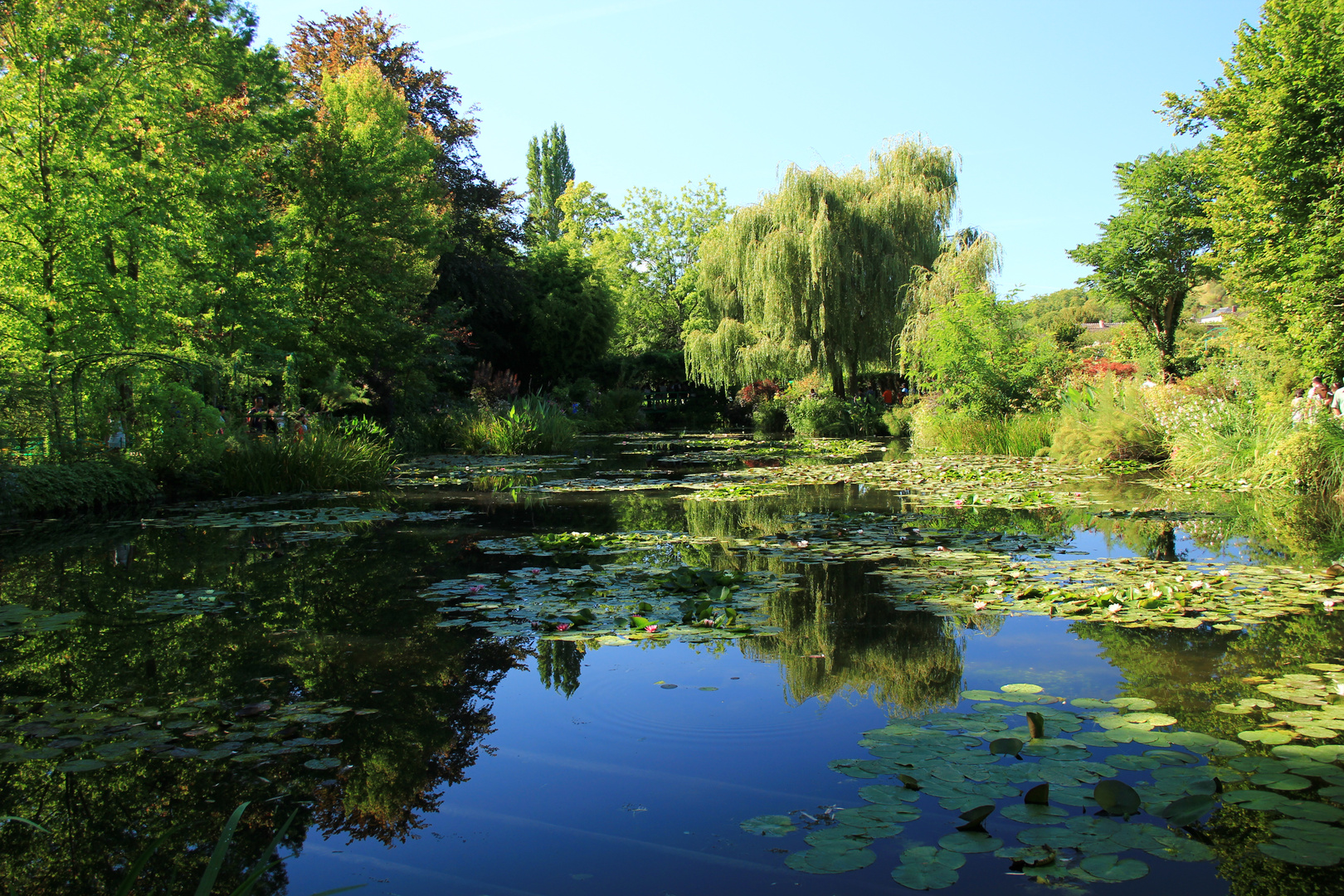 Monet - Seerosenteich