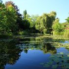 Monet - Seerosenteich