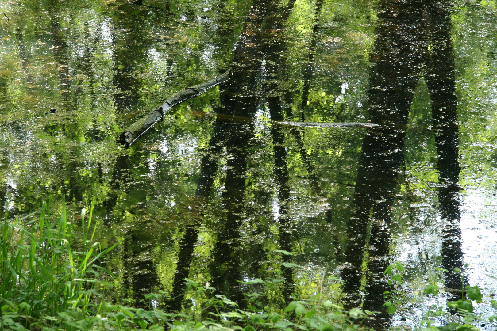 Monets Alster