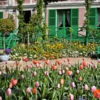 ~ Monets Frühlingsgarten ~