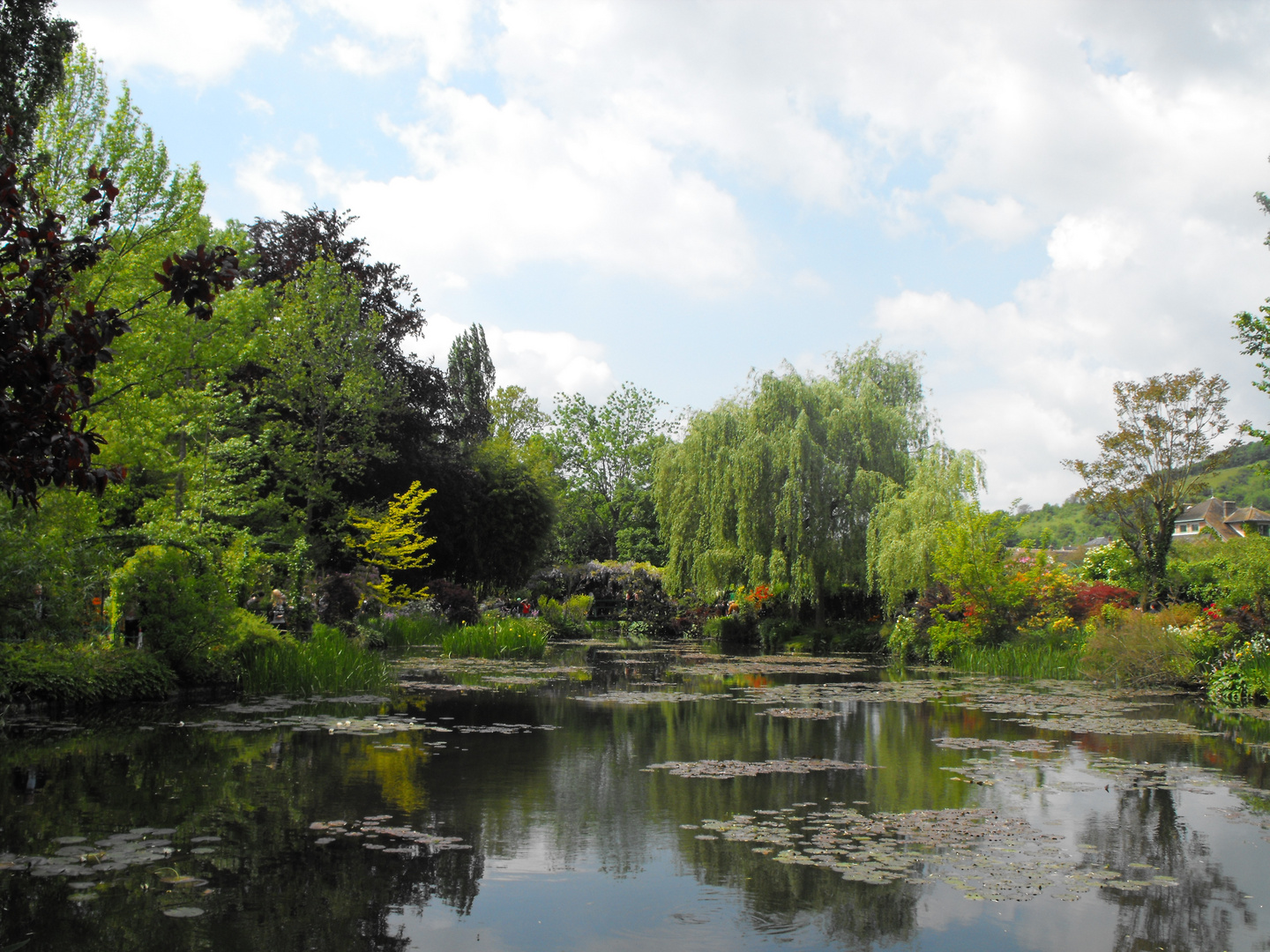 Monets Gärten 2013