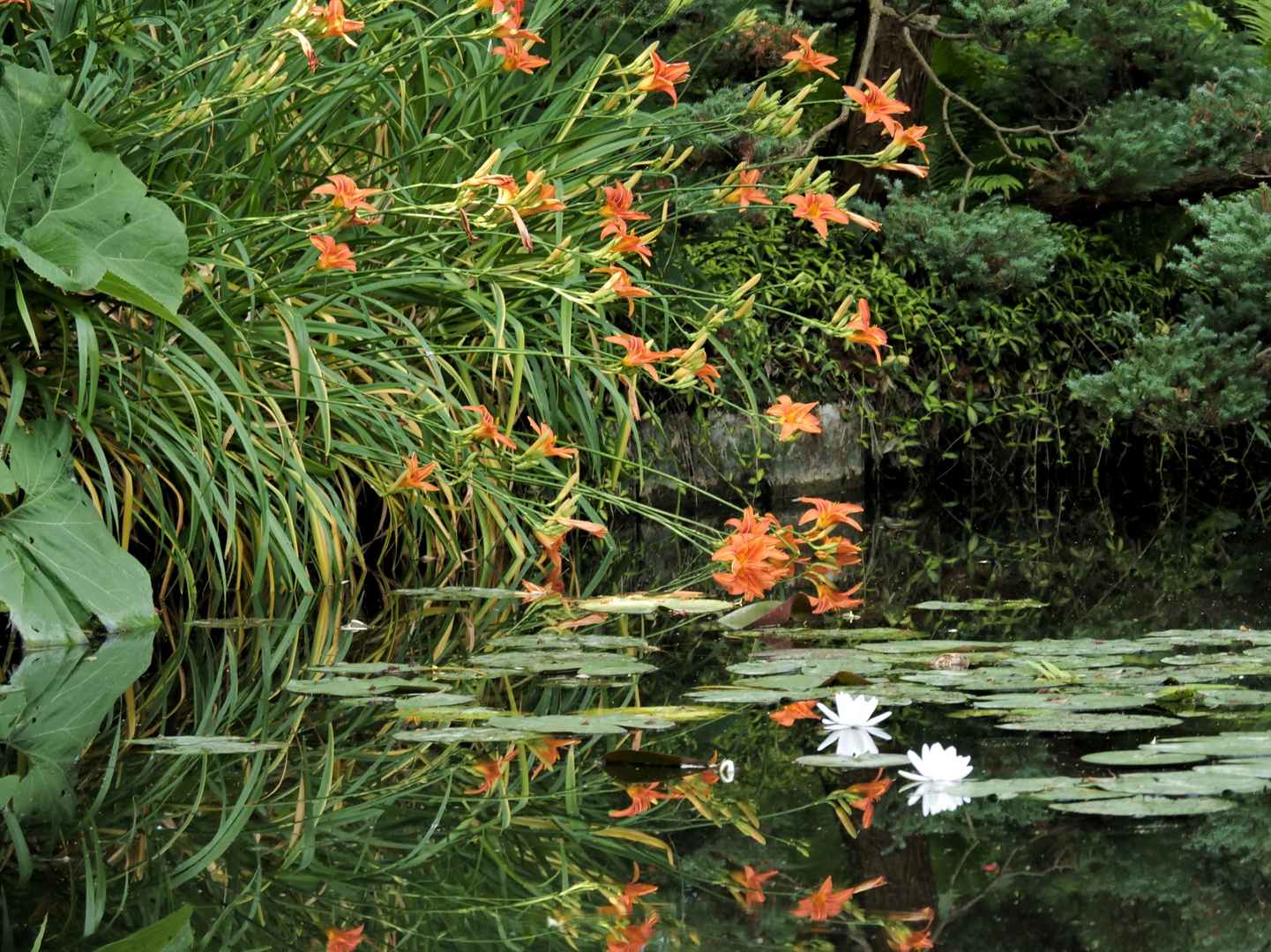 Monets Garten 1