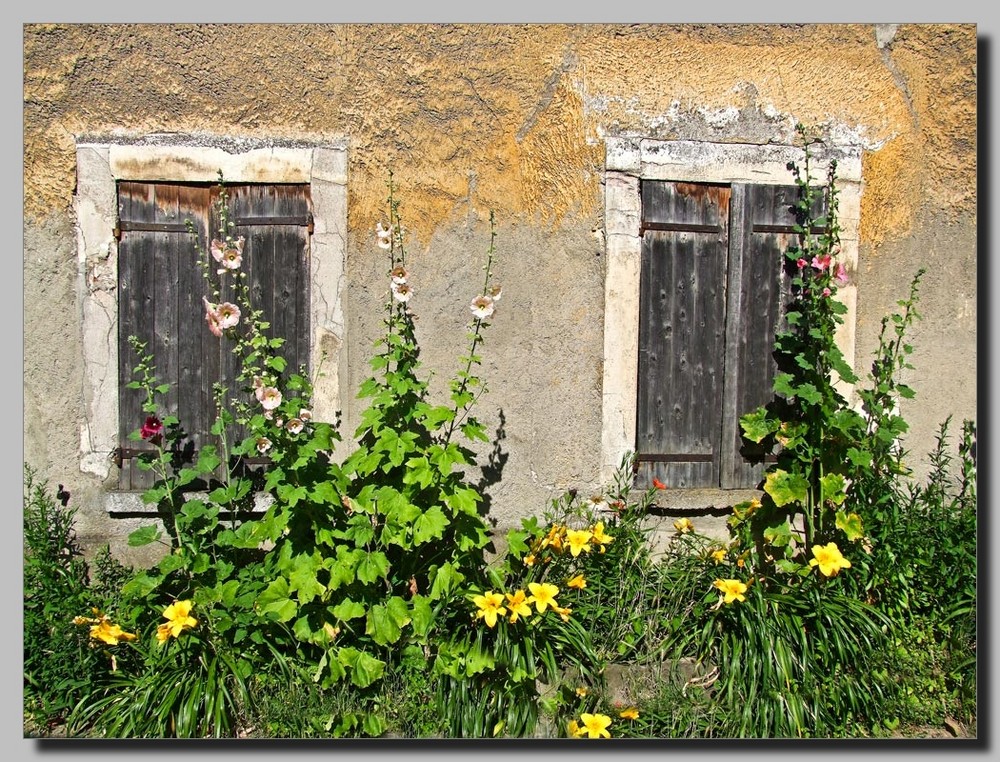 Monets-Garten/Giverny