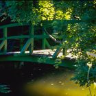 Monet´s Gartenteich II - Giverny/Frankreich