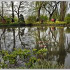 Monets "Wassergarten"