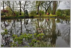 Monets "Wassergarten"