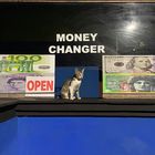 Money Changer