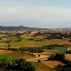 Monferrato