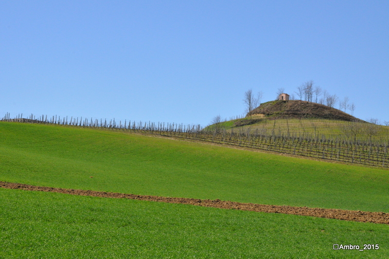 Monferrato doc