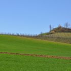 Monferrato doc