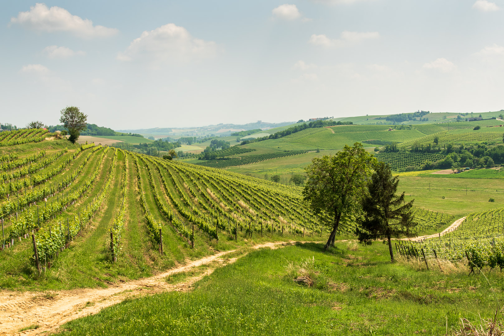 Monferrato