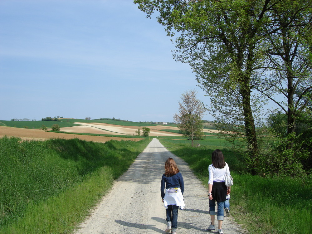 MONFERRATO . The long way home