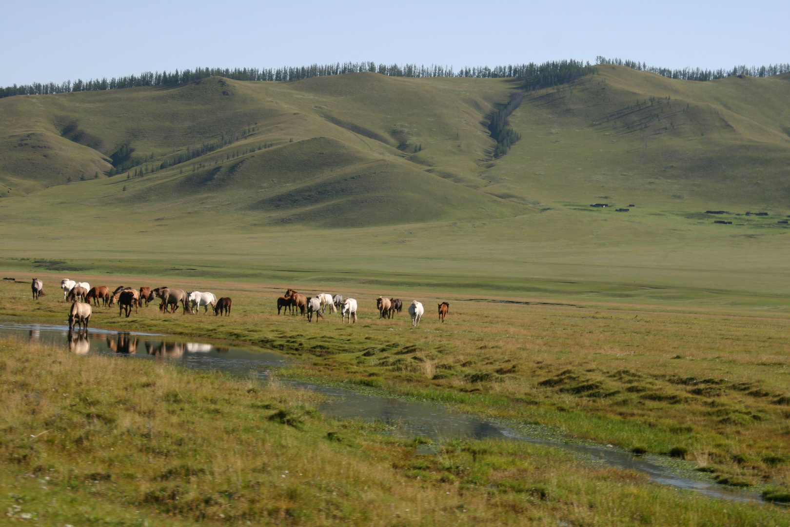 Mongolei - Nähe Tsenkher