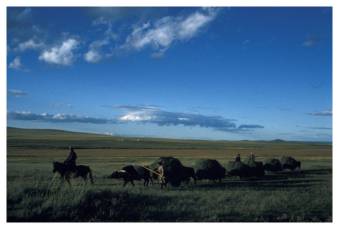 Mongolia 1993 / Going home