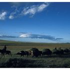 Mongolia 1993 / Going home