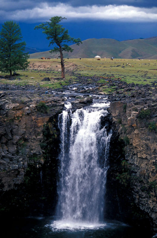 Mongolia dreaming