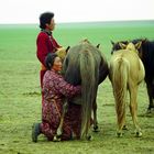 Mongolia: tra i nomadi del Gobi