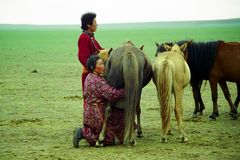 Mongolia: tra i nomadi del Gobi