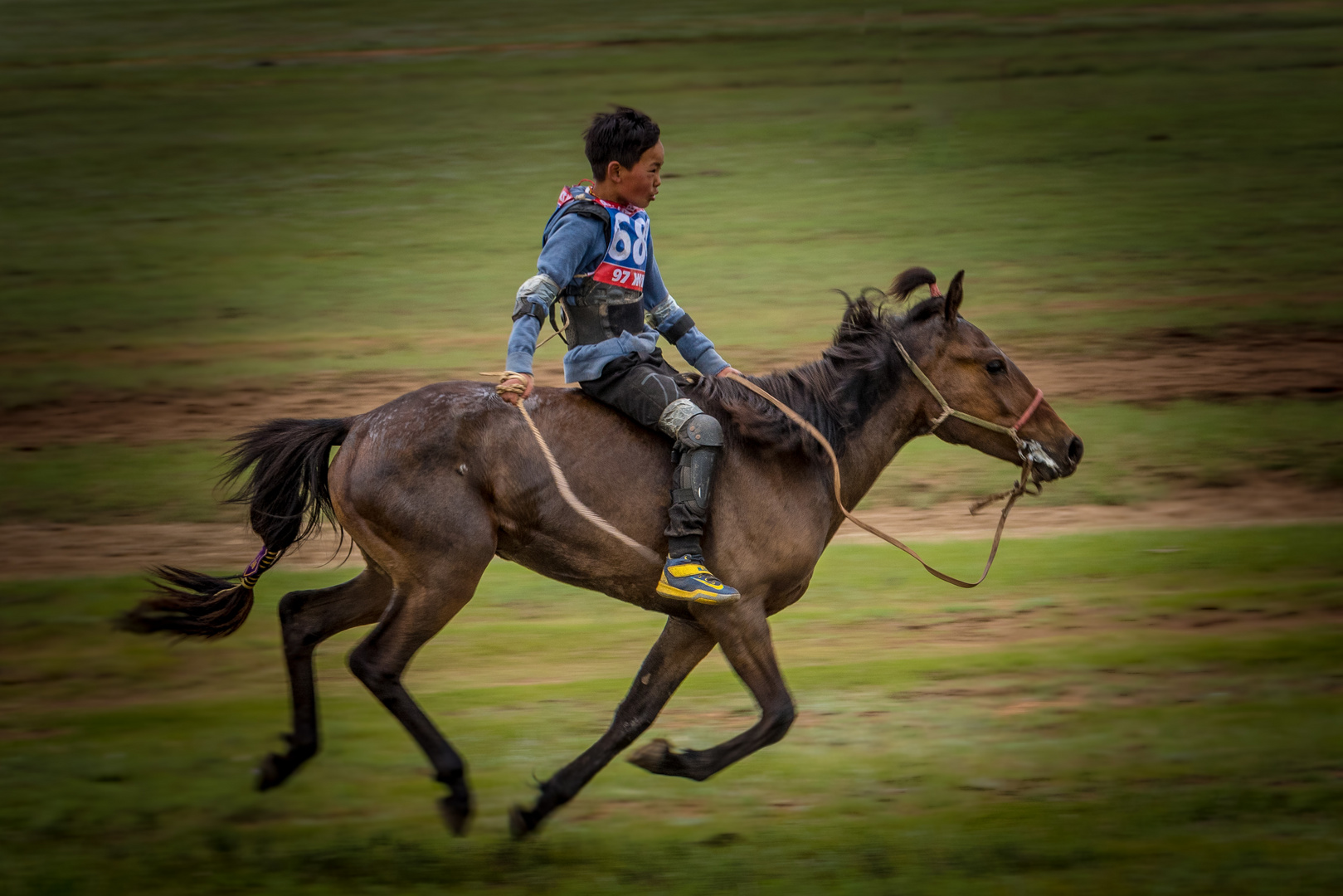 Mongolian Horse Race during Naadam Festival