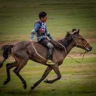 Mongolian Horse Race during Naadam Festival