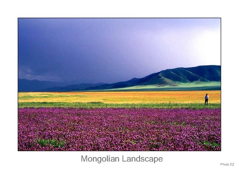 Mongolian Landscape