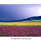 Mongolian Landscape